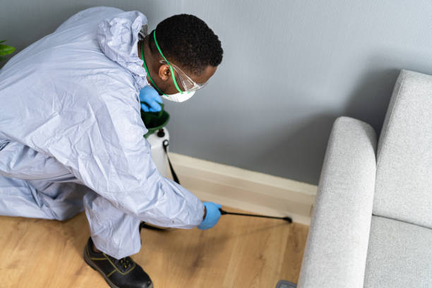 Best Residential Pest Control  in Thousand Oaks, CA